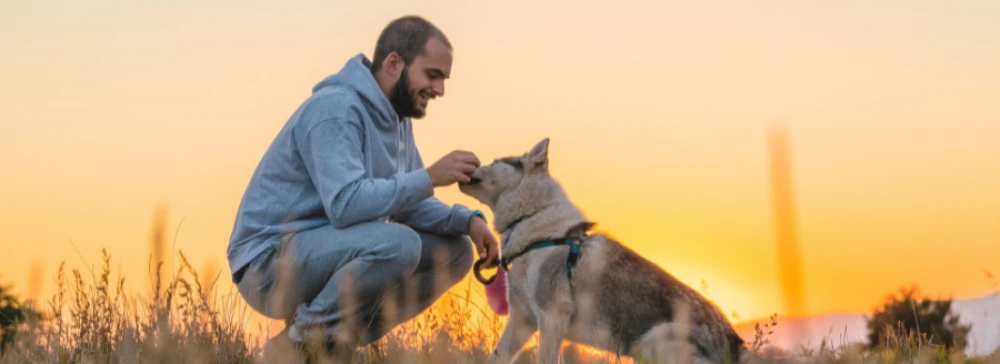 Activité avec animaux à Saint Raphaël