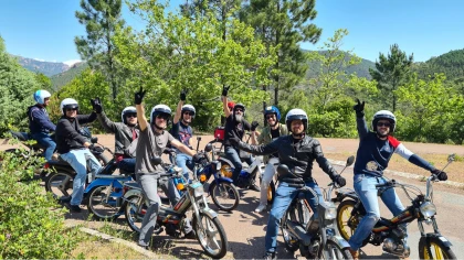 Mobylette vintage de collection