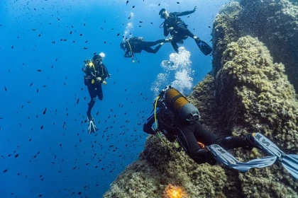 Plongée sous marine à Fréjus