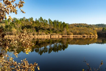 Saint-Paul-en-Forêt