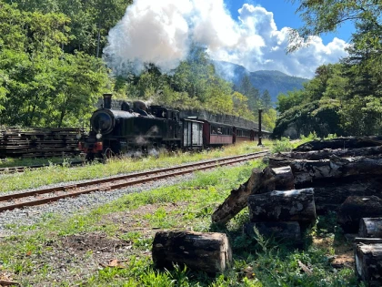 Train des pignes Annot