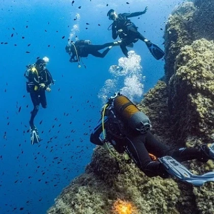 Plongée sous marine Saint Raphaël