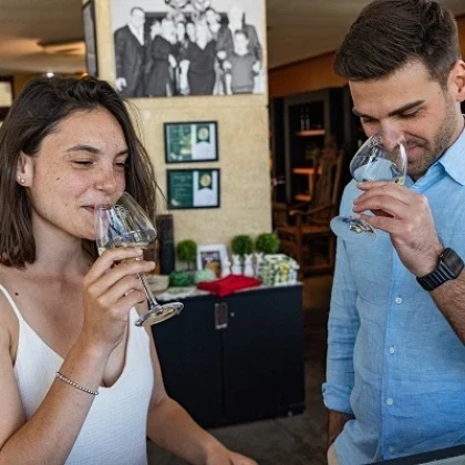 Offrir à noël dégustation de vin, découverte d'un vignoble