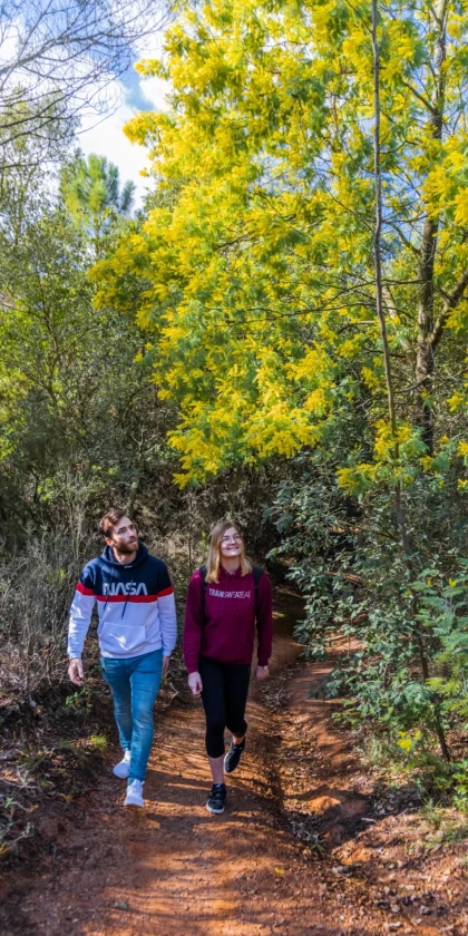 Idée sortie saint valentin
