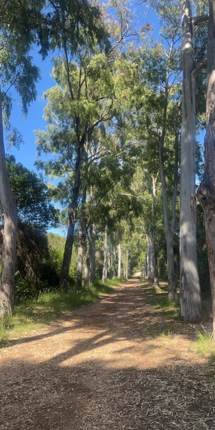 Randonnée ile Sainte-Marguerite en face de Cannes