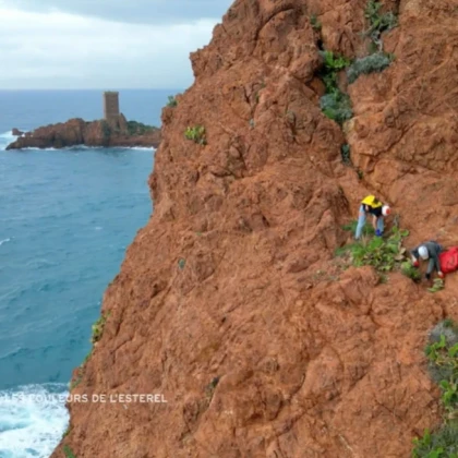 Escalade sur les falaises rouges du Cap Dramont