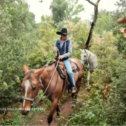 Equitation balade à cheval dans le var