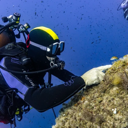 Baptême de plongée Fréjus et Saint-Raphaël