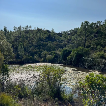 Massif de l'Estérel balade de l'Etang d'Aubert