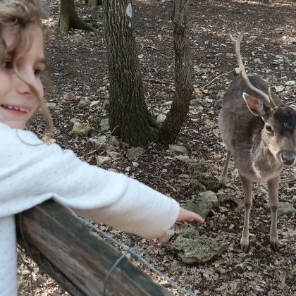 Parc avec animaux