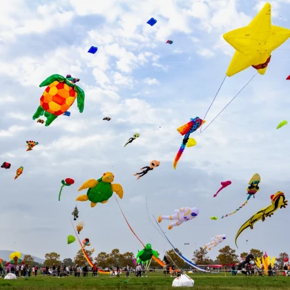 Festival de l'air à Fréjus