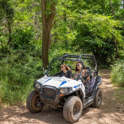 Buggy activité tout terrain var