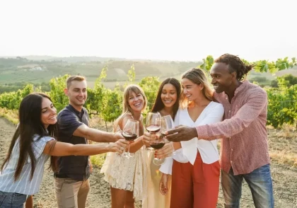 Provence wine tour departing from Cannes