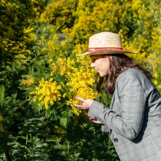Massif de l'Estérel à Saint Raphaël