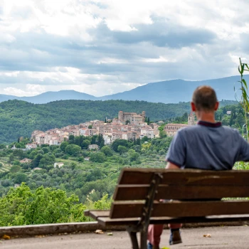 Pays de Fayence overview