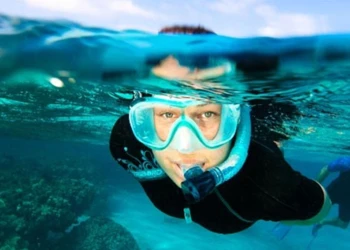 Snorkeling - Expérience Côte d'Azur