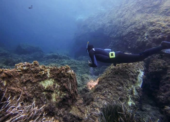 Apnea & snorkeling - Expérience Côte d'Azur