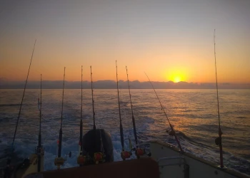 Fishing - Expérience Côte d'Azur