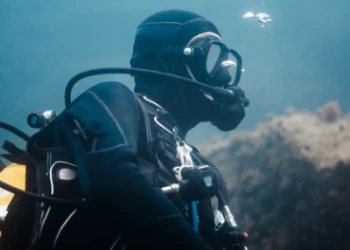 Randonnée palmée à Fréjus - app.name