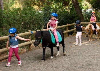 Poneyclub - app.name