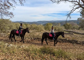 Balade à cheval Var - app.name