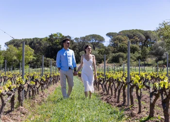 Winetour - Expérience Côte d'Azur