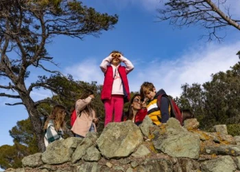 Pédagogie & ludique - Scolaire - app.name