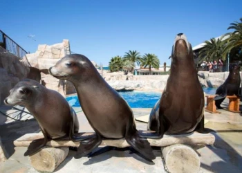 Parcs & animaux - app.name