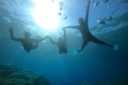 20,000 lives under the sea, the school of discovery - Expérience Côte d'Azur