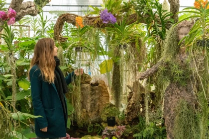 Discover the Magical World of Orchids - Expérience Côte d'Azur