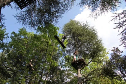 Accrobranche Aoubré l’aventure nature – Prix promo au cœur du Var - app.name