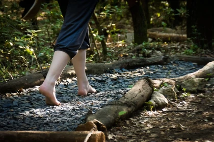  - Expérience Côte d'Azur