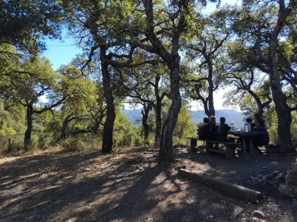  - Expérience Côte d'Azur