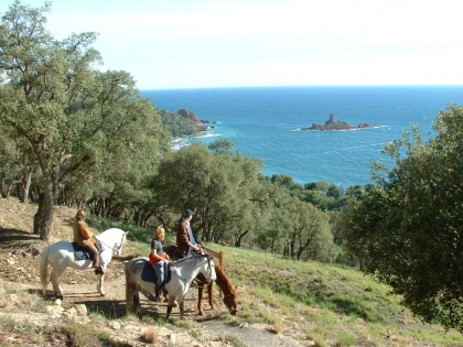 Horseback ride for intermediate riders in the Estérel – Sea view in Saint-Raphaël - Expérience Côte d'Azur