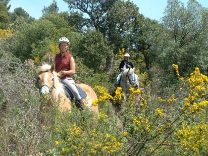 Horseback ride for intermediate riders in the Estérel – Sea view in Saint-Raphaël - Expérience Côte d'Azur