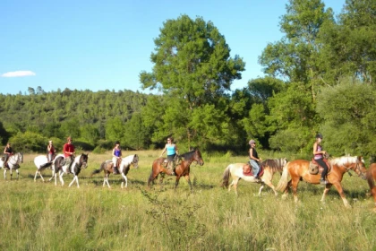 Horse riding - Discovery of the Lake of Saint Cassien 2h - Expérience Côte d'Azur