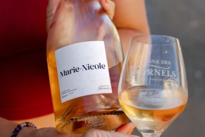 Horse riding in the vineyards of Ramatuelle - Expérience Côte d'Azur