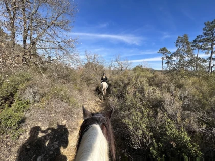 Half-day horseback ride at Lake St Cassien - Expérience Côte d'Azur