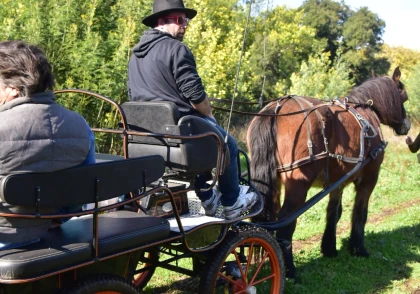 Carriage ride in the heart of the vineyards - Expérience Côte d'Azur