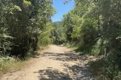 Electric mountain bike ride around the Saint Cassien lake - Expérience Côte d'Azur