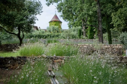 The biodiversity walk between vine and forest - Expérience Côte d'Azur