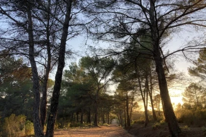 Nature walk at La Lieutenante - Expérience Côte d'Azur