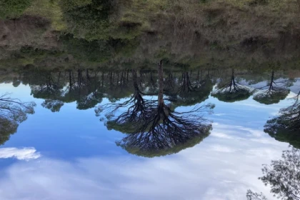 Nature walks to unexpected lakes - Expérience Côte d'Azur