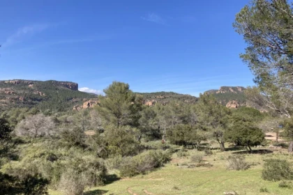 Homo Bouvérien nature walk - Expérience Côte d'Azur