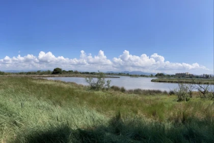 Nature walk in Fréjus - The Villepey ponds - Expérience Côte d'Azur