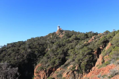 Dramont nature walk - Expérience Côte d'Azur