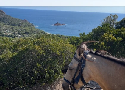 Panoramic Ride, for beginners with sea view – Saint-Raphaël (Estérel) - Expérience Côte d'Azur
