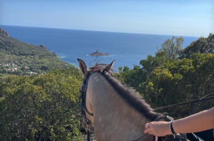 Panoramic Ride, for beginners with sea view – Saint-Raphaël (Estérel) - Expérience Côte d'Azur