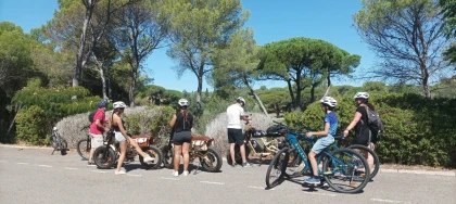 Electric mountain bike wine tour - in the heart of the Esterel region - Expérience Côte d'Azur