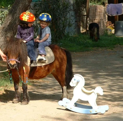 Little Rider 2–4 years –Still a baby, and already a rider. Discover horse riding workshop at Dramont, Saint-Raphaël - Expérience Côte d'Azur